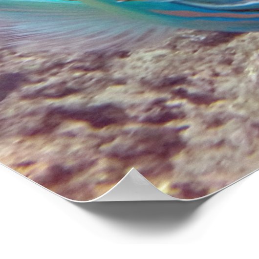 Hanauma Bay Parrot Fish Poster (Hoek)