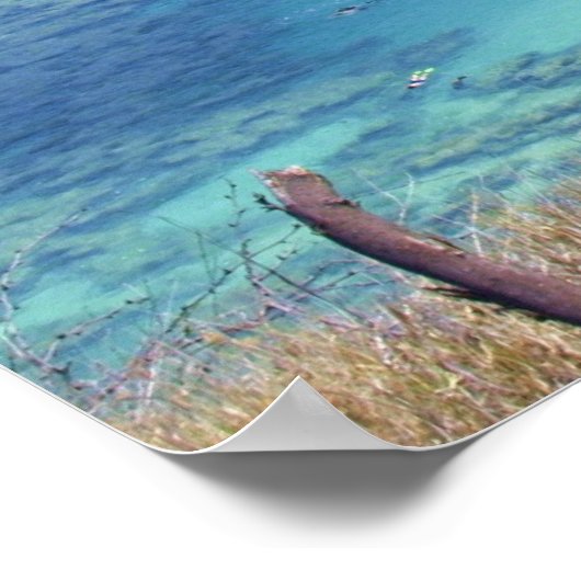 Hanauma Bay Poster (Hoek)