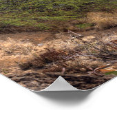 Hanauma Bay Poster (Hoek)