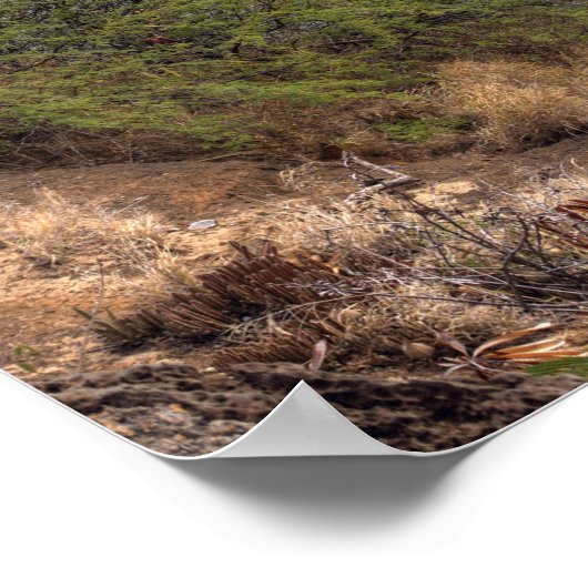 Hanauma Bay Poster (Hoek)