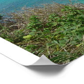 Hanauma Bay Poster (Hoek)