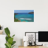 Hanauma Bay Poster (Thuiskantoor)