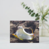 Hanauma Bay - Saddleback Butterfly Fish Briefkaart (Staand voorkant)