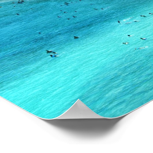 Hanauma Bay Shoreline Poster (Hoek)