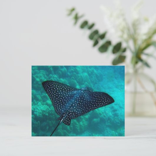 Hanauma Bay Spotted Eagle Ray Briefkaart (Staand voorkant)
