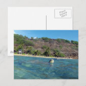 Hanauma Bay Turtle Briefkaart (Voorkant / Achterkant)