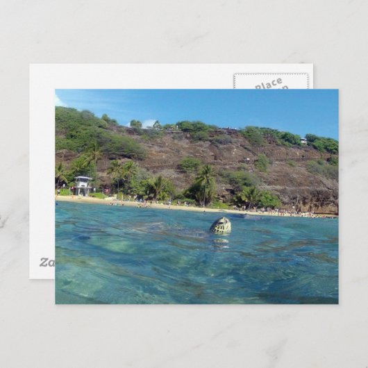 Hanauma Bay Turtle Briefkaart (Voorkant / Achterkant)