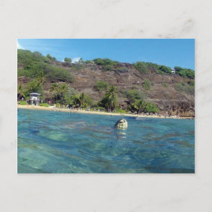 Hanauma Bay Turtle Briefkaart