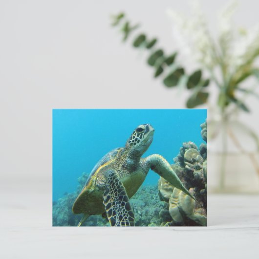 Hanauma Bay Turtle Briefkaart (Staand voorkant)
