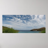 Hanauma Cove Panorama Poster (Voorkant)