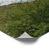 Hanauma Cove Panorama Poster (Hoek)