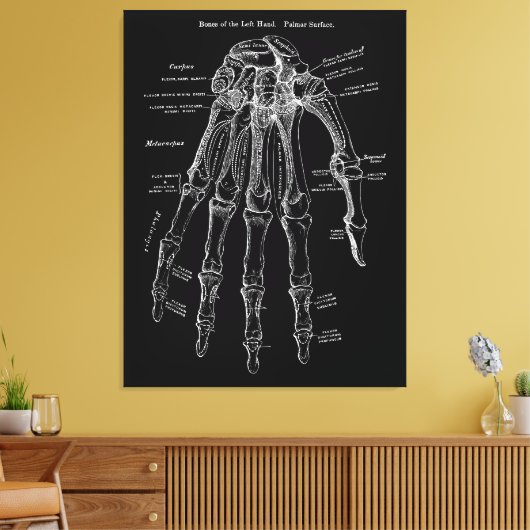 Hand Anatomie Grote Canvas Muur Art 36x48" Afdruk (Insitu (Woonkamer))