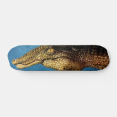 Hand Art Skateboard (Horizontaal)