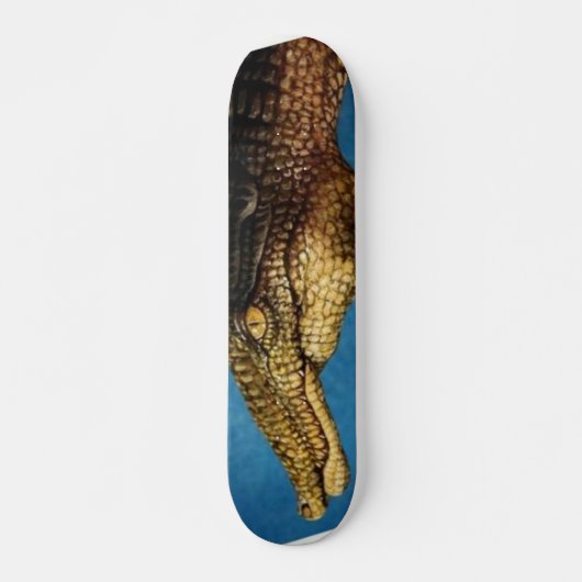 Hand Art Skateboard (Voorkant)