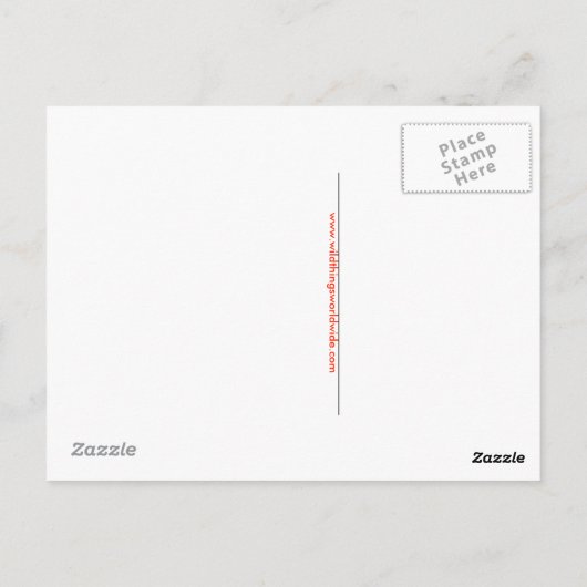 Hand - - Aussie wildlife - buideldieren - Briefkaart (Achterkant)