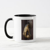 Hand deur klopper close-up, Mexico Mok (Links)