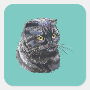 Hand die een grappige zwarte zwarte kat tekent. vierkante sticker
