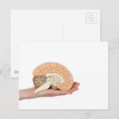 Hand die hersenhelft vasthoudt op witte achtergron briefkaart (Voorkant / Achterkant)