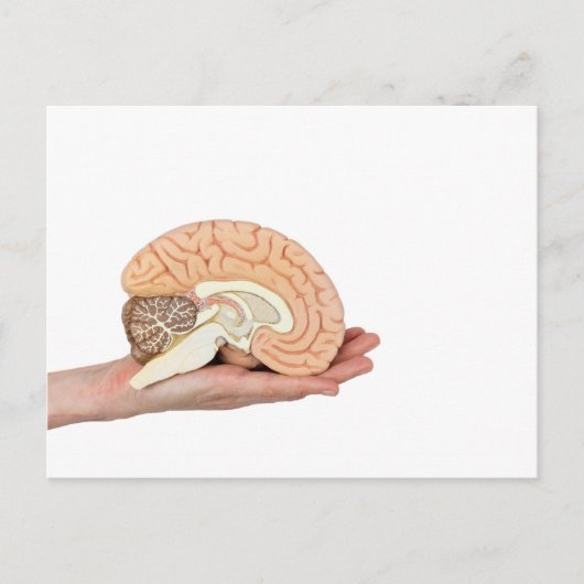 Hand die hersenhelft vasthoudt op witte achtergron briefkaart (Voorkant)