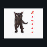 Hand Draw Funny Bombay Cat Japan Gift Dad Briefkaart<br><div class="desc">Hand Draw Funny Bombay Cat Japan Gift Dad</div>