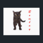 Hand Draw Funny Bombay Cat Japan Gift Dad Briefkaart<br><div class="desc">Hand Draw Funny Bombay Cat Japan Gift Dad</div>