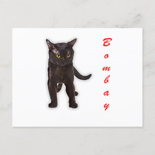 Hand Draw Funny Bombay Cat Japan Gift Dad Briefkaart