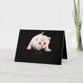 Hand Draw Funny Burmilla Cat Japan Papa Mam Bro Kaart (Voorkant)