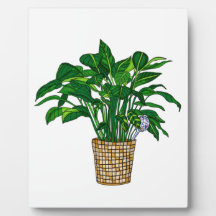 Hand draw Peace Lily