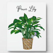 Hand draw Peace Lily