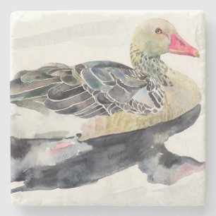 Hand Draw Waterverf Bird, Duck Stenen Onderzetter