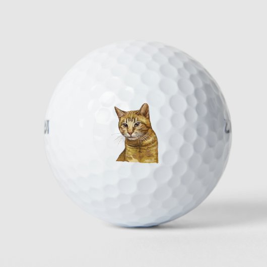 Hand drawing funny red tabby cat golfballen (Voorkant)