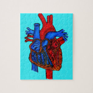 Hand Drawn Aqua Anatomical Heart Legpuzzel
