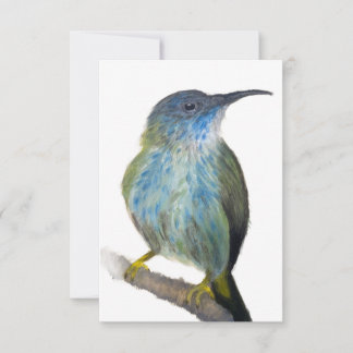 Hand-drawn blue tinted hummingbird notecard. bedankkaart