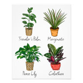 Hand Drawn House Planten Art Foto Afdruk (Voorkant)