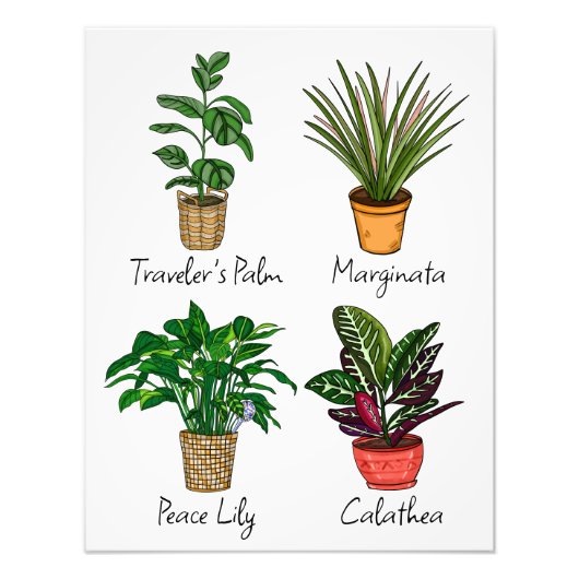 Hand Drawn House Planten Art Foto Afdruk (Voorkant)