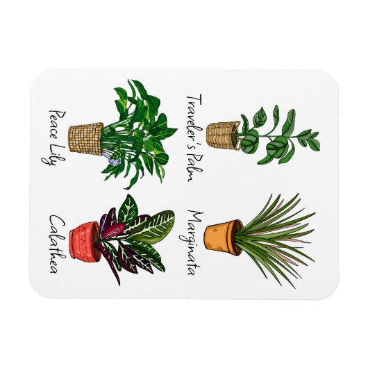 Hand Drawn House Planten Art Magneet (Horizontaal)