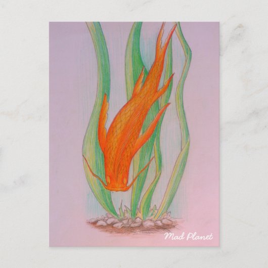 Hand Drawn Koi Carp Briefkaart (Voorkant)