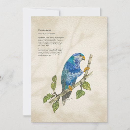 Hand geschilderd bedreigd lorikeet Wenskaart Feestdagenkaart (Voorkant)