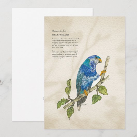 Hand geschilderd bedreigd lorikeet Wenskaart Feestdagenkaart (Voorkant / Achterkant)