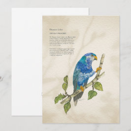 Hand geschilderd bedreigd lorikeet Wenskaart Feestdagenkaart