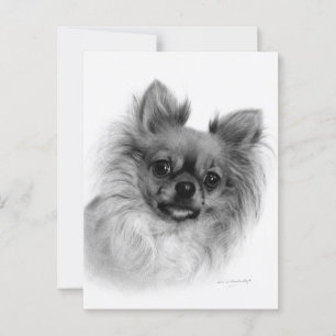 Hand geschilderd langharige Chihuahua olieportret Briefkaart