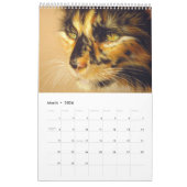 Hand geschilderde katten wilde en binnenlandse kat kalender (Mar 2026)