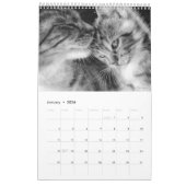 Hand geschilderde katten wilde en binnenlandse kat kalender (Jan 2026)