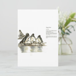 Hand geschilderde print bedreigde pinguïns kaart