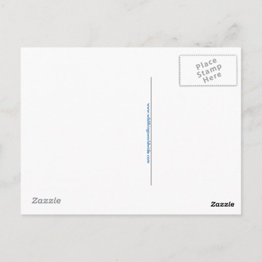 Hand getekend - Blue WHALE - Conservation - Natuur Briefkaart (Achterkant)