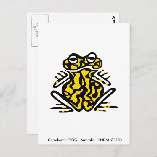Hand getekend -Corroboree FROG - Natuur -Amfibie Briefkaart (Voorkant / Achterkant)