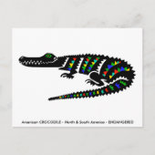 Hand getekend - CROCODILE -Conservation -Reptile- Briefkaart (Voorkant)