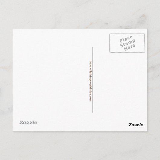 Hand getekend Grizzly BEER - Wildlife - wilde dier Briefkaart (Achterkant)