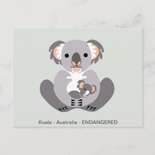 Hand getekend - KOALA - buideldier - Bedreigd dier Briefkaart (Voorkant)