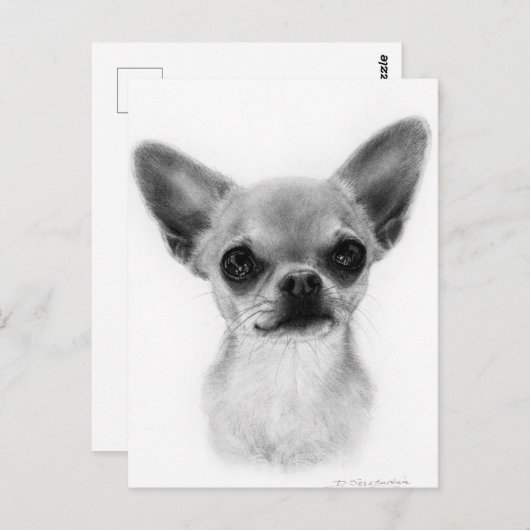 Hand getekend Kortharige Chihuahua - Gentle Expres Briefkaart (Voorkant / Achterkant)